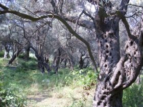 Urlaub 2010 186.JPG