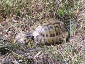 Urlaub 2010 184.JPG