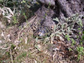Urlaub 2010 189.JPG