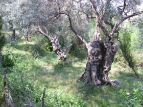 Urlaub 2010 192 (1).JPG