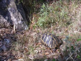 Urlaub 2010 188.JPG