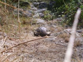 Urlaub 2010 197.JPG