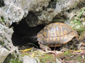 IMG_0636.JPG